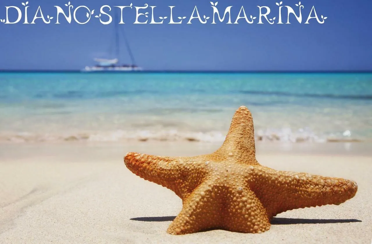 Dianostellamarina contacts